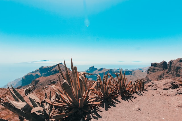 El panorama del diseño web en Tenerife: Reconociendo a los actores clave